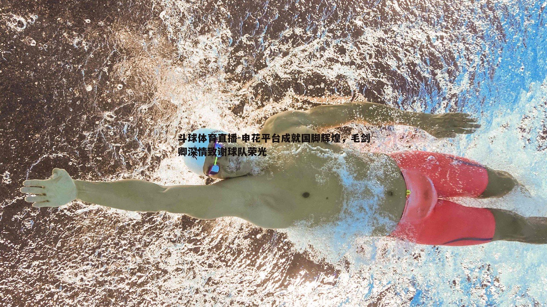 申花平台成就国脚辉煌，毛剑卿深情致谢球队荣光